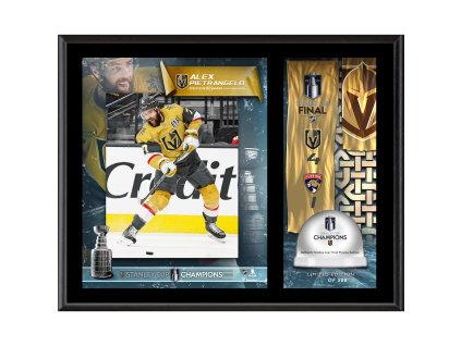 Sběratelská plaketa - koláž Vegas Golden Knights 2023 Stanley Cup Champions 12'' x 15'' Sublimated Plaque with Game-Used Ice from the 2023 Stanley Cup Final - Limited Edition of 500