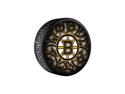 Puk Boston Bruins NHL Clone Souvenir Collector Hockey Puck
