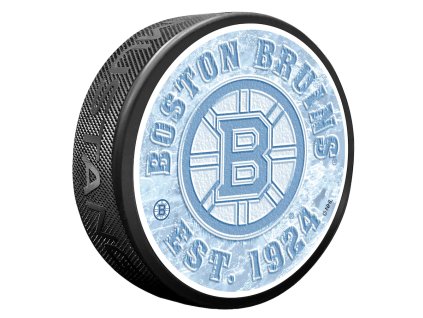 Puk Boston Bruins NHL Frozen Logo Puck