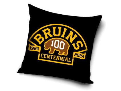 Vankúšik Boston Bruins Centennial
