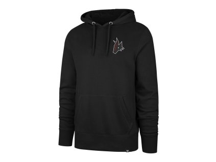 Pánská mikina Arizona Coyotes NHL Imprint Backer 47 Burnside Hood