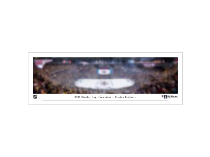 Fotografie Florida Panthers NHL 2025 Stanley Cup Champions 40" x 13.5" Panorama Photograph