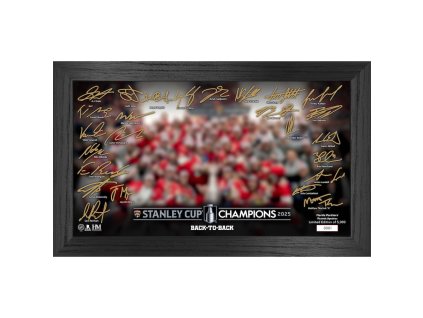 Obrázok Florida Panthers 2025 Stanley Cup Champions 12'' x 20'' Tradition Signature Frame