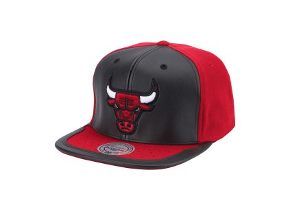 Pánská kšiltovka Chicago Bulls NBA Day One Snapback