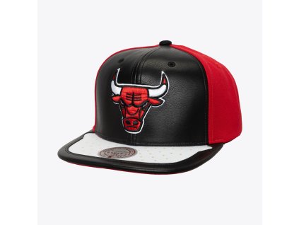 Pánská kšiltovka Chicago Bulls NBA Day One Snapback