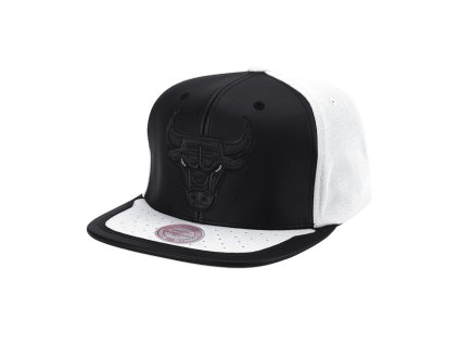 Pánská kšiltovka Chicago Bulls NBA Day One Snapback