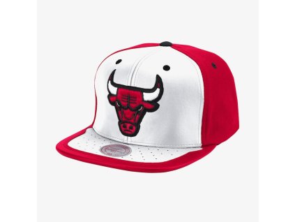 Pánská kšiltovka Chicago Bulls NBA Day One Snapback
