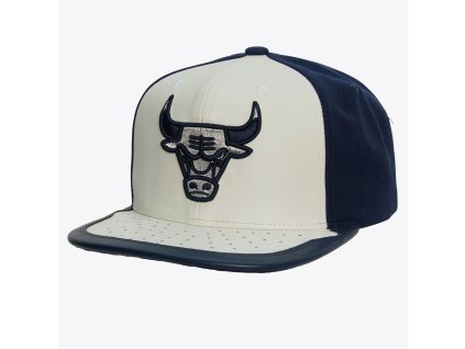 Pánská kšiltovka Chicago Bulls NBA Day One Snapback