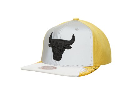 Pánská kšiltovka Chicago Bulls NBA Day 5 Snapback