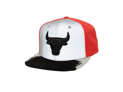 Pánská kšiltovka Chicago Bulls NBA Day 5 Snapback