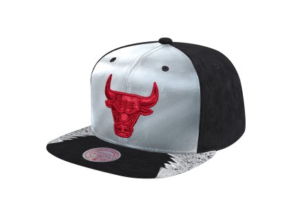 Pánská kšiltovka Chicago Bulls NBA Day 5 Snapback