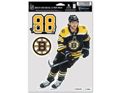 Samolepka David Pastrnak #88 Color Decal