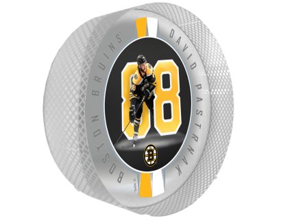 Puk Boston Bruins NHL Crystal Breakout - David Pastrnak
