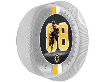 Puk Boston Bruins NHL David Pastrňák #88 Crystal Breakout
