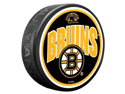Puk Boston Bruins NHL Wordmark