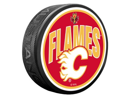 Puk Calgary Flames NHL Wordmark