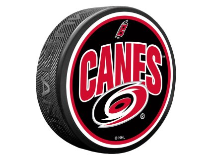 Puk Carolina Hurricanes NHL Wordmark