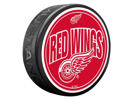 Puk Detroit Red Wings NHL Wordmark