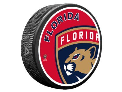 130385 puk florida panthers icon