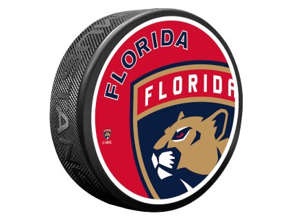 Puk Florida Panthers NHL Icon