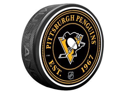 131012 puk pittsburgh penguins nhl stud