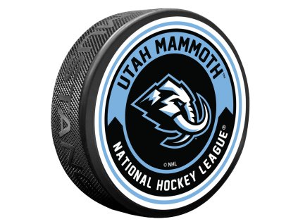 Puk Utah Mammoth NHL Arrow