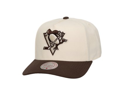 Pánská kšiltovka Pittsburgh Penguins NHL Fashion Basic 2T Pro Snapback