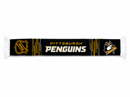 139869 sala pittsburgh penguins nhl patch letter