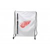 NHL vak Deroit Red Wings Chalk