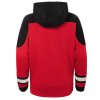 Dětská mikina Detroit Red Wings NHL Ageless Must-Have Home