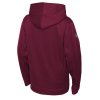 Dětská mikina Colorado Avalanche NHL Authentic Pro Hoodie Po Hood