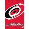 NHL Plakát Carolina Hurricanes Team Logo Cut