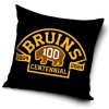 Vankúšik Boston Bruins Centennial