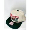 Pánská kšiltovka Minnesota Wild NHL Speed Zone Snapback