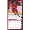 Kalendář Detroit Red Wings NHL 2025 Wall Calendar