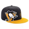 Pánska Šiltovka Pittsburgh Penguins Big Fan Flat Brim