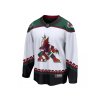 Pánský dres Arizona Coyotes NHL Karel Vejmelka #70 Breakaway Away Jersey