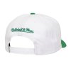 Pánska šiltovka Boston Celtics Team 2 Tone 2.0 Pre Snapback Hwc