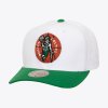 Pánska šiltovka Boston Celtics Team 2 Tone 2.0 Pre Snapback Hwc