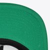 Pánska šiltovka Boston Celtics Team Script 2.0 Snapback Hwc
