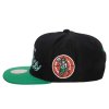 Pánská kšiltovka Boston Celtics NBA Team Script 2.0 Snapback Hwc