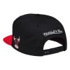Pánska šiltovka Chicago Bulls Team Script 2.0 Snapback Hwc