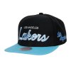 Pánská kšiltovka Los Angeles Lakers NBA Team Script 2.0 Snapback Hwc