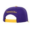 Pánská kšiltovka Los Angeles Lakers NBA Team Script 2.0 Pro Snapback Hwc