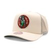 Pánská kšiltovka Boston Celtics NBA Evergreen Trucker Hwc