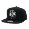 Pánská kšiltovka Boston Celtics NBA Evergreen Black White Snapback