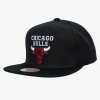 Pánska šiltovka Chicago Bulls Top Spot Snapback Hwc