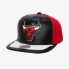 Pánska šiltovka Chicago Bulls Day One Snapback