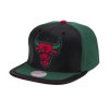 Pánská kšiltovka Chicago Bulls NBA Day One Snapback