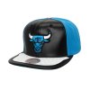 Pánska šiltovka Chicago Bulls Day One Snapback